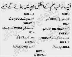 Funny sms pakreseller is best sms and jokes site online. Paintrest Fun Quotes Funny Funny Sms Funny Crush Memes