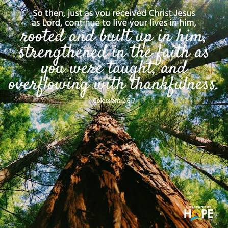Colossians 2:6-7 — A Reason for Hope with Don Patterson