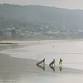 EPIC Great Ocean Rd Coastal Walk & Lorne Learn to.... event in Lorne VIC