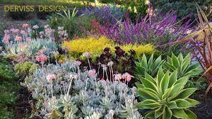 Agave attenuata ray of light fox. Plantfiles Pictures Agave Foxtail Agave Dragon Tree Agave Spineless Century Plant Ray Of Light Agave Attenuata By Kell