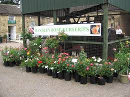 We did not find results for: Handley Nursery Plant Centre