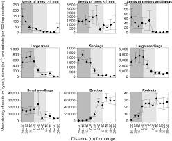 Image result for Rytigynia ruwenzoriensis