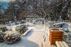 Setagaya Park Ein Japanischer Garten In Wien Winter Fototapete Fototapeten Zen Garten Ententeich Teehaus Myloview De
