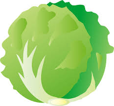 Lettuce Clipart Free Download Transparent Png Creazilla 18,031 transparent png illustrations and cipart matching salad. lettuce clipart free download