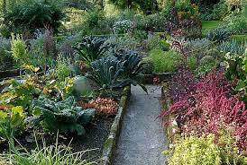 Browse our wide selection of beautiful accent trees, flowering shrubs, perennials & more. How To Plant A Fall Garden Crops To Plant In Cool Weather