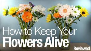 How to keep flowers alive longer in vase. Here S How To Keep Your Flowers Alive Longer Youtube