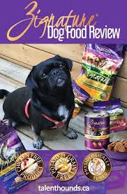 What Makes Zignature Dog Food Unique Talent Hounds Dog Food Recipes Dogs Dog Food Reviews