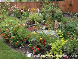 We don't know how to rhyme, but, damn, we try. How To Determine Sun Exposure In Your Garden Get Busy Gardening
