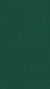 Check spelling or type a new query. English Green Solid Color Background Wallpaper For Parallel 600x1067 Wallpaper Teahub Io