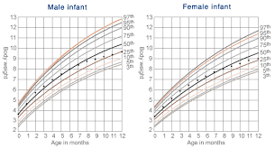 40 Actual Percentile Chart For Breastfed Babies