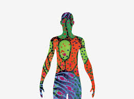 The information contained in anatomy atlases is not a substitute for the medical care and advice of your physician. Nih To Build A Detailed Map Of Cells Within The Human Body National Institutes Of Health Nih