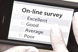 Image result for Paid surveys