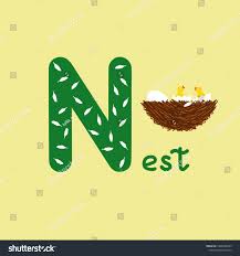 Alphabet letter n and pictures. English Alphabet Children Education Letter N Stock Vector Royalty Free 1468458785