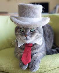 Meet The World S Most Renowned Fallen Fur Felted Hat Designer For Cats Cat Birthday Cat Hat Cats