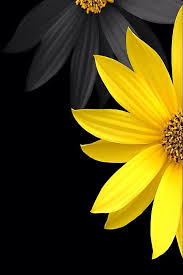 Pin On Colors Shades Of Yellow