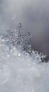 Find over 100+ of the best free snowflakes images. Icy Snowflakes Winter Iphone Android Cellphone Lock Screen Wallpaper Background Android Background Cell Snowflake Wallpaper Winter Wallpaper Winter Iphone