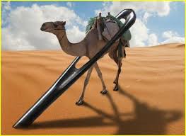 A journey through the eye. Easier For A Camel To Go Through The Eye Of A Needle Than For A Rich Man The Case Of Donald Trump Landover Baptist Church