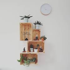 New Home For Our Little Green Friends Succulent Succulentlove Cactus Pileapeperomioides Diy Furniture Decor Crate Shelves Diy Crates On Wall