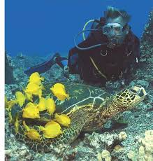 Diving In The Land Of Aloha The Hawaiian Islands Scuba Diving News Gear Education Dive Training Magazine