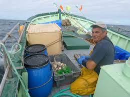 Une île comme un bateau à l' ancre. A L Ile D Yeu Une Amap Poissons Le Site Du Journal L Age De Faire