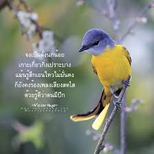 จงเป นด งนกน อย ความร ส ก คำคม ความค ด