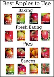 Best Apples For Baking And Cooking Roses And Gardens