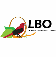 Muchos pertenecen a
clubes de aves en su
lugar de residencia