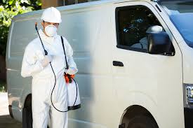 How to research and write a pest analysis from scratch. Pest Control And Extermination Services Midland Odessa Tx Ace Pest Control