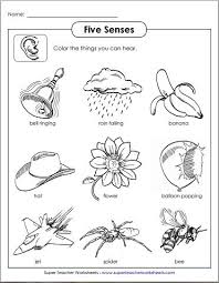 Use Five Senses Printable Activities From Super Teacher Worksheets In Your Classroom Check Out Five Senses Worksheet Senses Preschool Kindergarten Worksheets