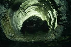 Our systems prioritize the fast inclusion of high quality, useful content. Exclusive Crawl Blu Ray Clip Examines Alligator Aggression