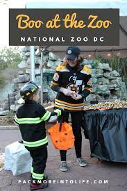 Boo At The Zoo At The National Zoo In Dc Pack More Into Life Packmoreintolife Fallfestivals Pumpkins Hall Fall Festival Festival Pack Dance Party Kids