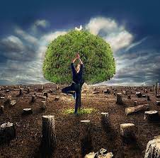 Cosa significa la parola resilienza, qual è la sua etimologia, cos'è la avete sentito pronunciare la parola resilienza ma, temendo di fare una brutta figura, non avete osato. Allenare La Resilienza Con Lo Yoga Natural E R A