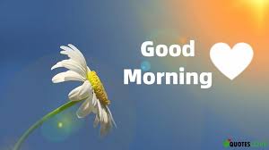 Are you looking for romantic good morning quotes for her or a good morning message for her?would you like to make her heart melt and show her how much you care for and love her? Good Morning Text Messages And Sms For Your Special Someone Your Love Crush Him And Her The State