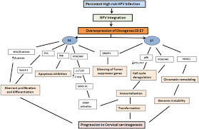 Hpv type 16 it can be. Retracted Article Molecular Mechanisms In Progression Of Hpv Associated Cervical Carcinogenesis Journal Of Biomedical Science Full Text