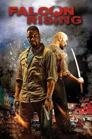 Seguono le avventure di ash ketchum e del nuovo protagonista gou nel loro viaggio attraverso tutte e 8 le regioni del franchise pokémon, inclusa la nuova regione galar presente nei giochi pokemon spada e scudo. Falcon Rising Streaming Film E Serie Tv In Altadefinizione Hd Michael Jai White Best Action Movies Free Movies Online
