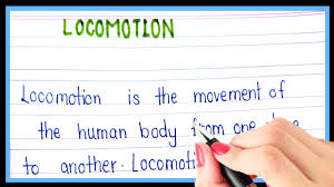 Locomotor Categories Used In The Analyses And Their | Download Table