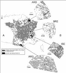 Check spelling or type a new query. A Distribution Map Of Pine Marten In France Distribution Map Was Download Scientific Diagram