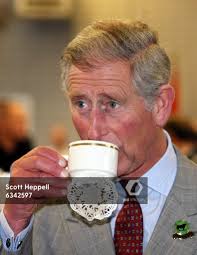 Royal couple visit country's worst-hit flood areas