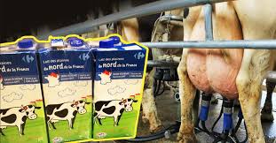 Et celui qui comporte des risques d'infection, à la légionellose en particulier. Le Lait De Vache Est Il Mauvais Pour La Sante