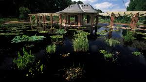 Visiting Alabama? Attractions and activities to experience while traveling  through the Heart of Dixie | Fox News