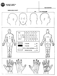 The Inter Rater Reliability Of Estimating The Size Of Burns