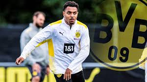 How many players can a club register, when is the deadline and what changes can. Perfekt Bvb Verpflichtet Eindhoven Profi Donyell Malen Als Sancho Nachfolger Sportbuzzer De