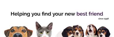 Learn more about kreitzer's critter corral puppy rescue in kannapolis, nc, and search the available pets they have up for adoption on petfinder. Best Friend Pet Adoption Helping You Find Your New Best Friend