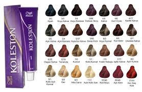 wella koleston krem boya renk katalogu ms paint sac boyasi sac patlican