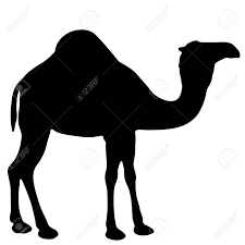 There are 333 camel clip art for sale on etsy, and they cost sgd 7.81 on average. Black And White Vector Silhouette Of A Camel Royalty Free Cliparts Vectors And Stock Illustration Image 90813588