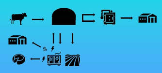 Wisconsin Anaerobic Digester Operations