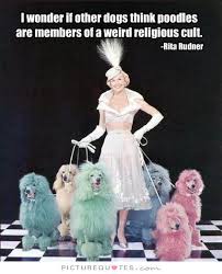 Rita Rudner Quotes &amp; Sayings (12 Quotations) via Relatably.com