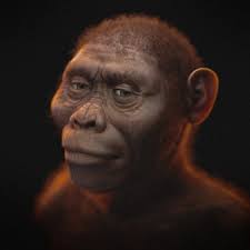 Evolution and Creationism Open Debate