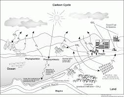 Students can color the 4 stages of the water cycle. Drawing The Water Cycle Worksheet Novocom Top