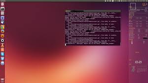 Risultati immagini per conkyforecast